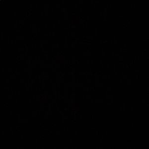 Meet your Posher, Selene